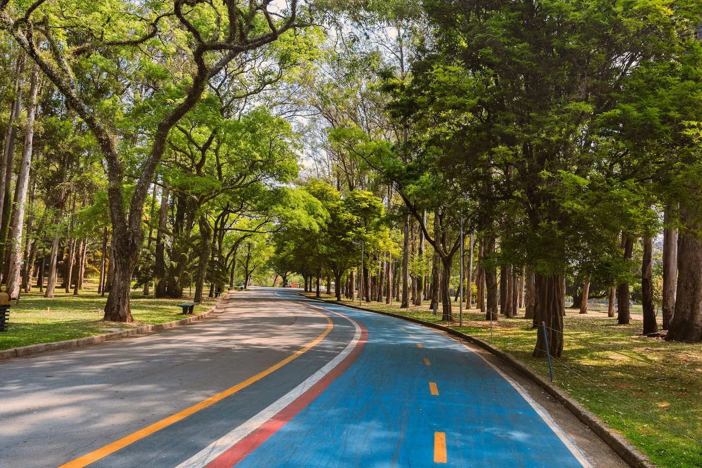 PARQUE DO IBIRAPUERA